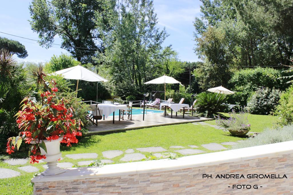 מרינה די מסה Hotel Nedy מראה חיצוני תמונה