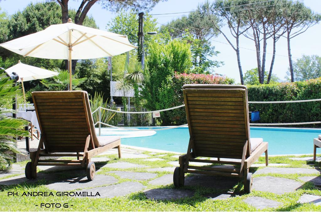 מרינה די מסה Hotel Nedy מראה חיצוני תמונה