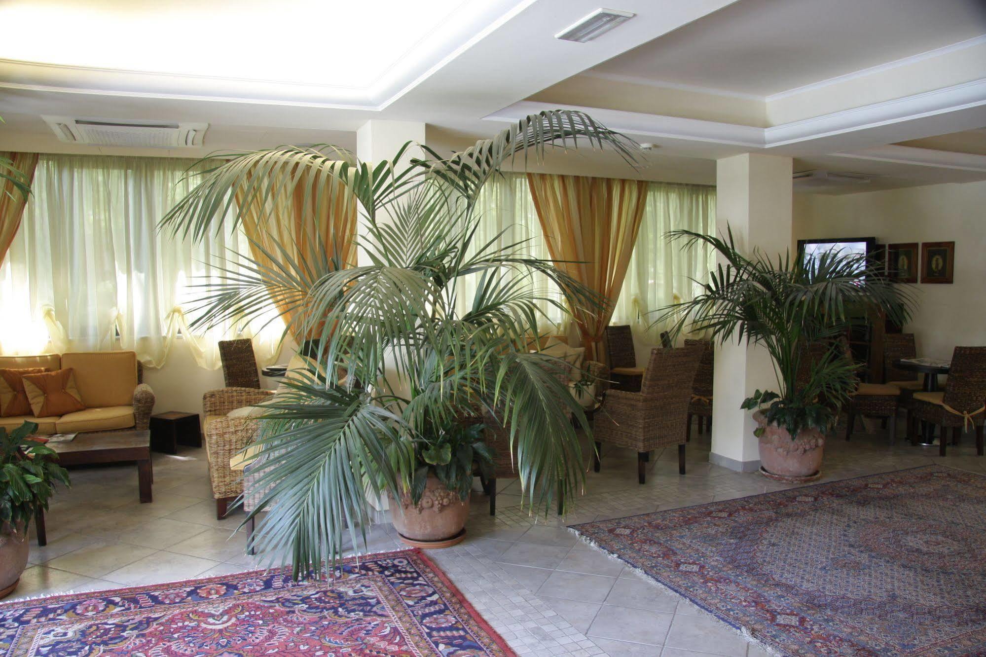מרינה די מסה Hotel Nedy מראה חיצוני תמונה